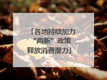 各地持续加力“两新”政策 释放消费潜力